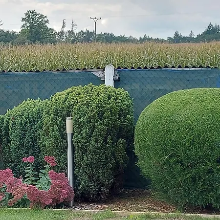 Chata Kvetov 別荘 Květov